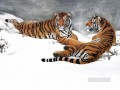 tigers on snow field